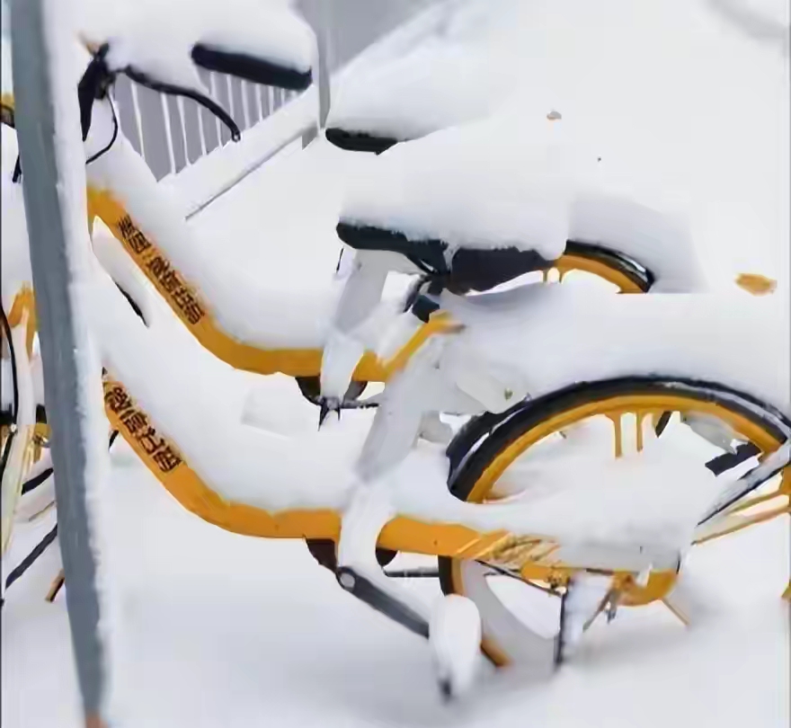 河南多地雷打雪，紫色闪电惊得乌鸦乱飞，新一轮降雪或十年来最大