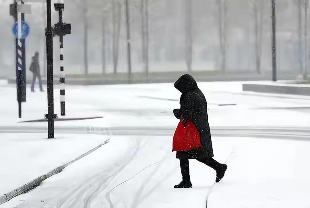 河南多地雷打雪，紫色闪电惊得乌鸦乱飞，新一轮降雪或十年来最大