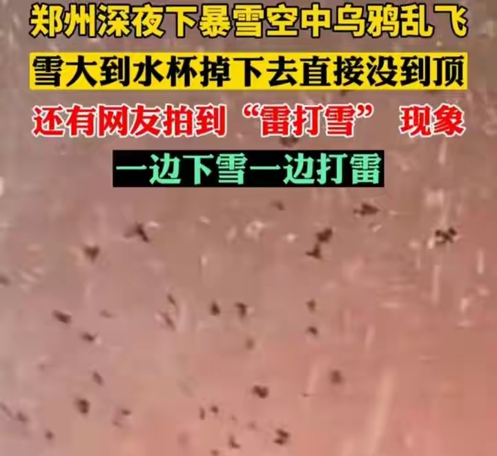 河南多地雷打雪，紫色闪电惊得乌鸦乱飞，新一轮降雪或十年来最大