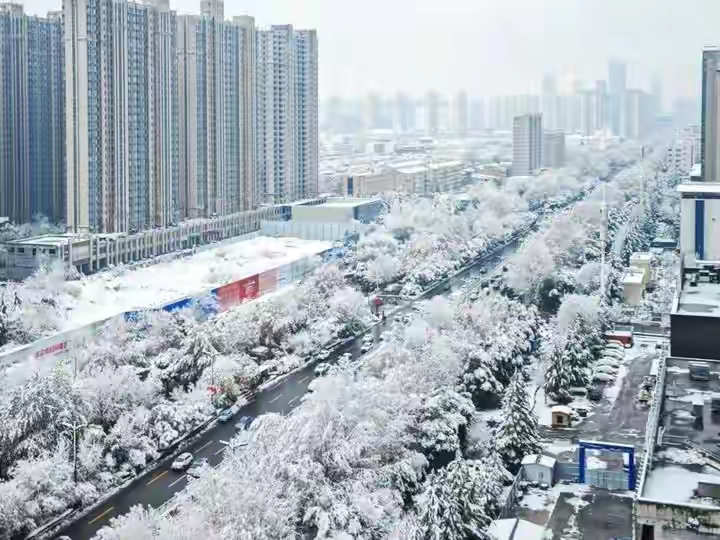 河南多地雷打雪，紫色闪电惊得乌鸦乱飞，新一轮降雪或十年来最大