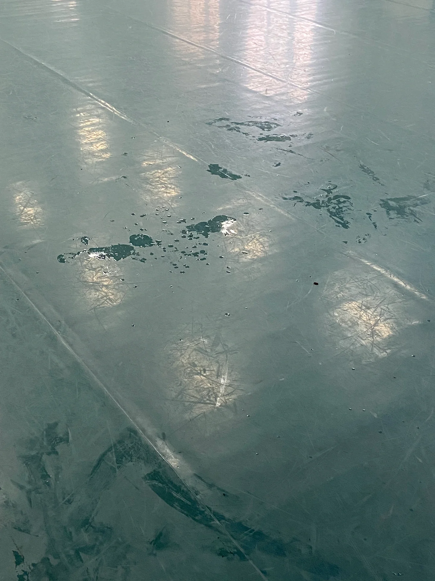 学舞蹈的艺考生们