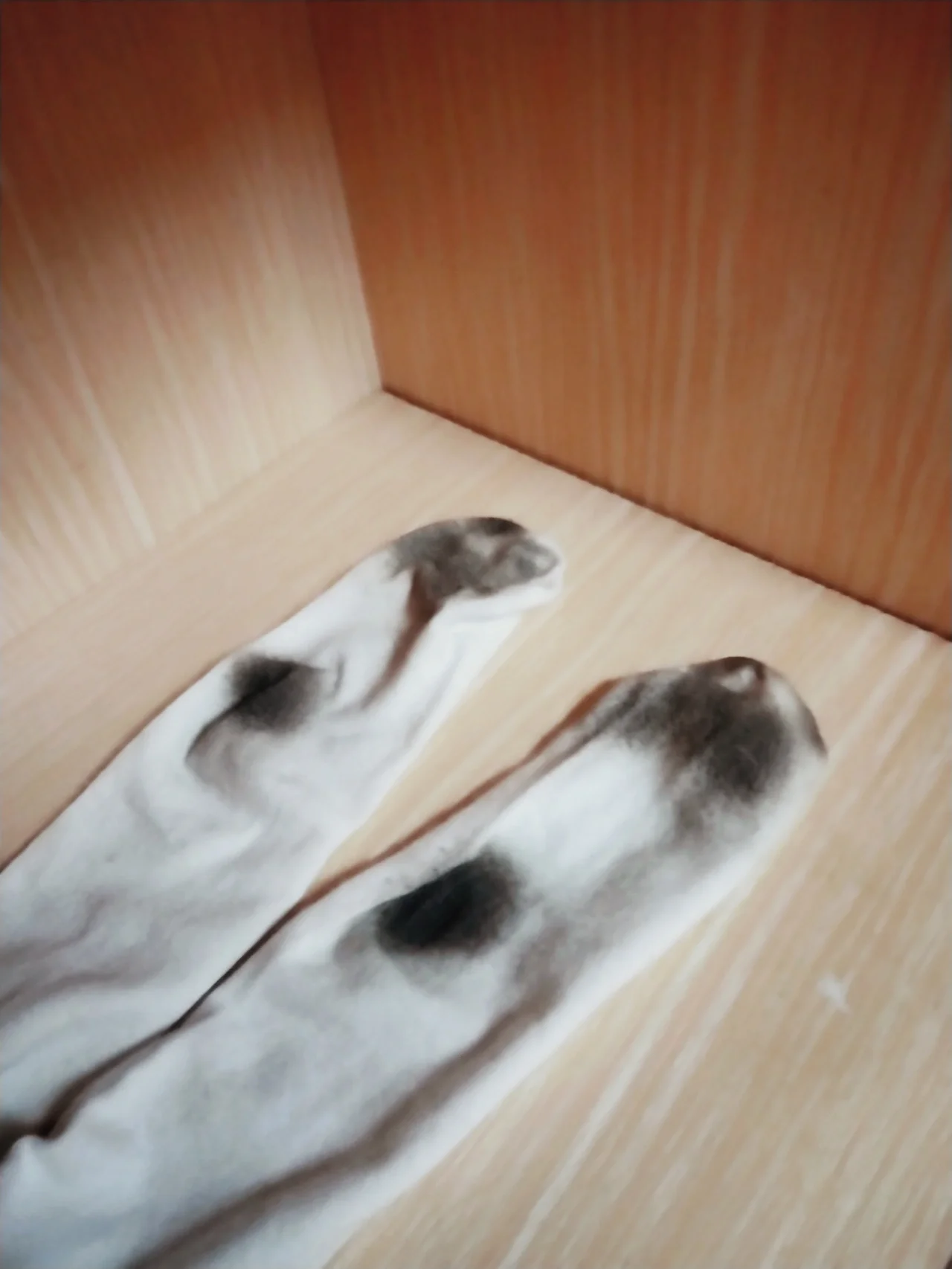 学舞蹈的艺考生们