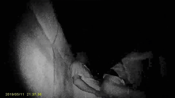 十二月最新流出大神潜入地下砂舞厅偷拍《西安简爱舞厅》内的淫乱的抓奶 抠逼 吃鸡胆大的直接啪啪