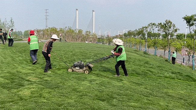 女生私处的毛毛越茂盛，性欲就越强吗？