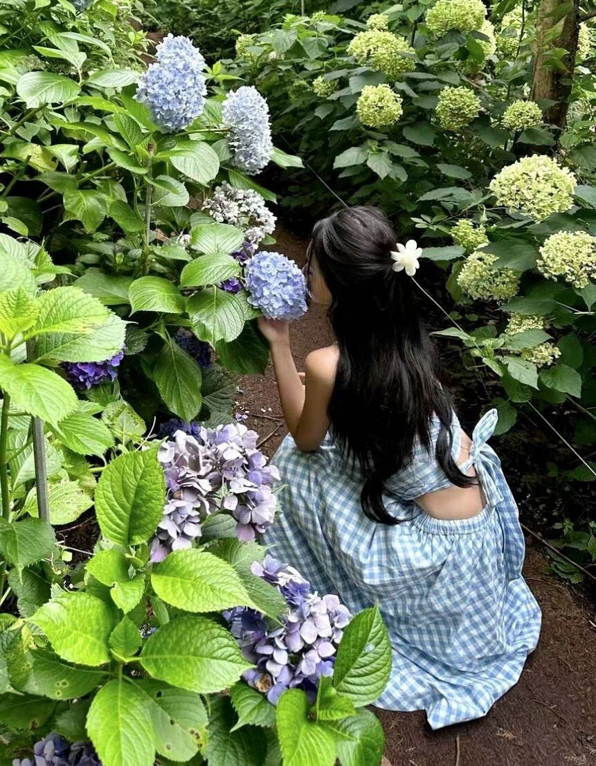 回忆我的那些女人 [34P]