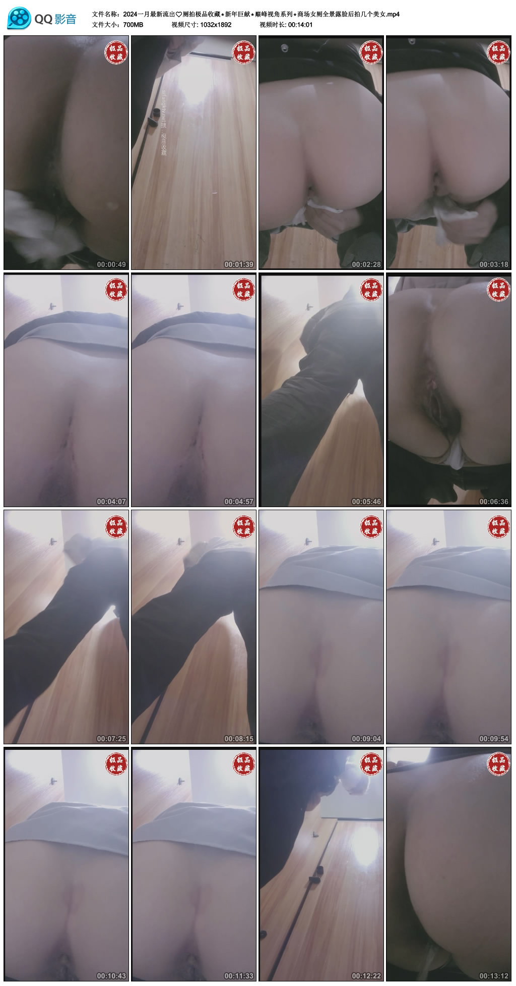 2024一月最新流出厕拍极品收藏新年巨献巅峰视角系列商场女厕全景露脸后拍几个美女