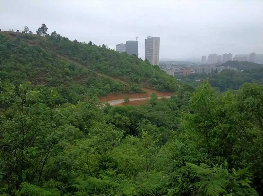 女友赌气找陌生男子车震两次 被威胁“公开裸照” 又发生性关系