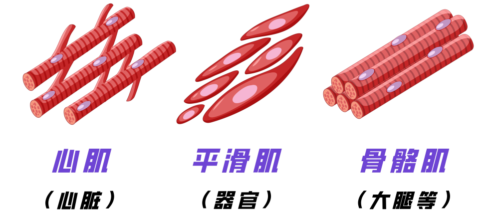 男人“壮阳”的9种方法,靠谱的只有这2种,看看你有没有中招