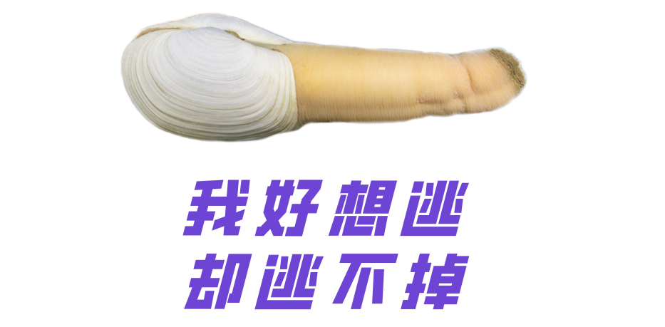 男人“壮阳”的9种方法,靠谱的只有这2种,看看你有没有中招