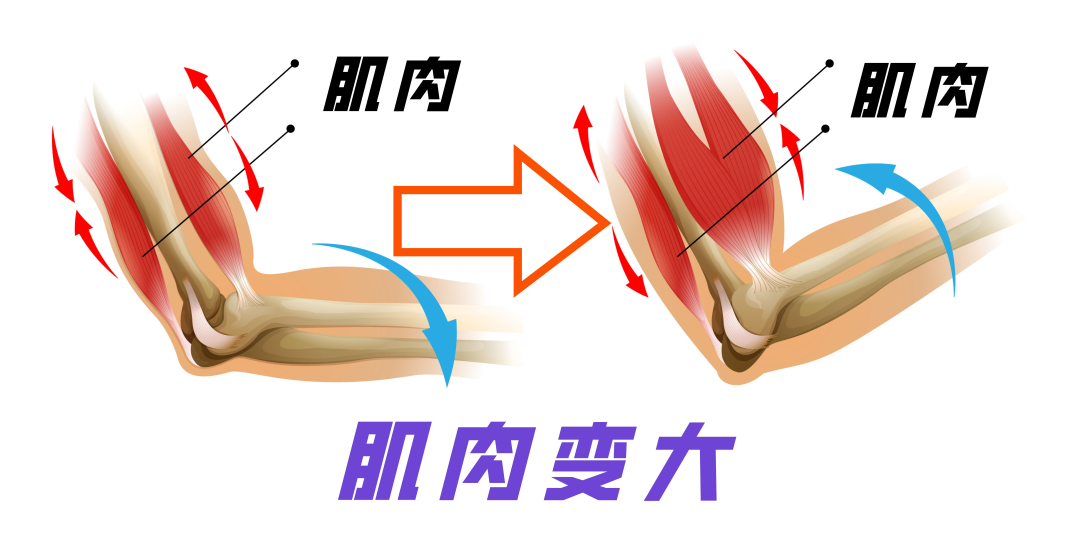 男人“壮阳”的9种方法,靠谱的只有这2种,看看你有没有中招