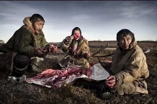 生吃海豹肉的北极黄种人——因纽特人