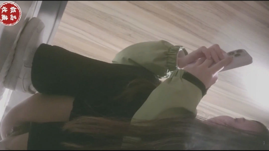 2024一月最新流出厕拍极品收藏巅峰视角系列商场前景偷拍逼逼肥厚的气质短发少妇