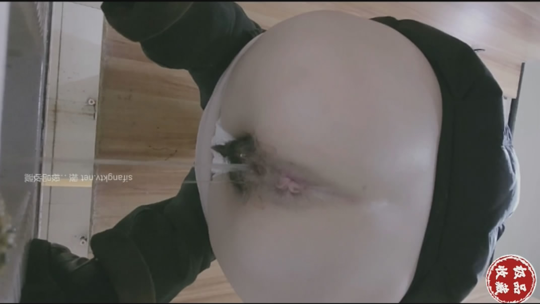 2024一月最新流出厕拍极品收藏全新镜头升级商场后拍美女更清晰