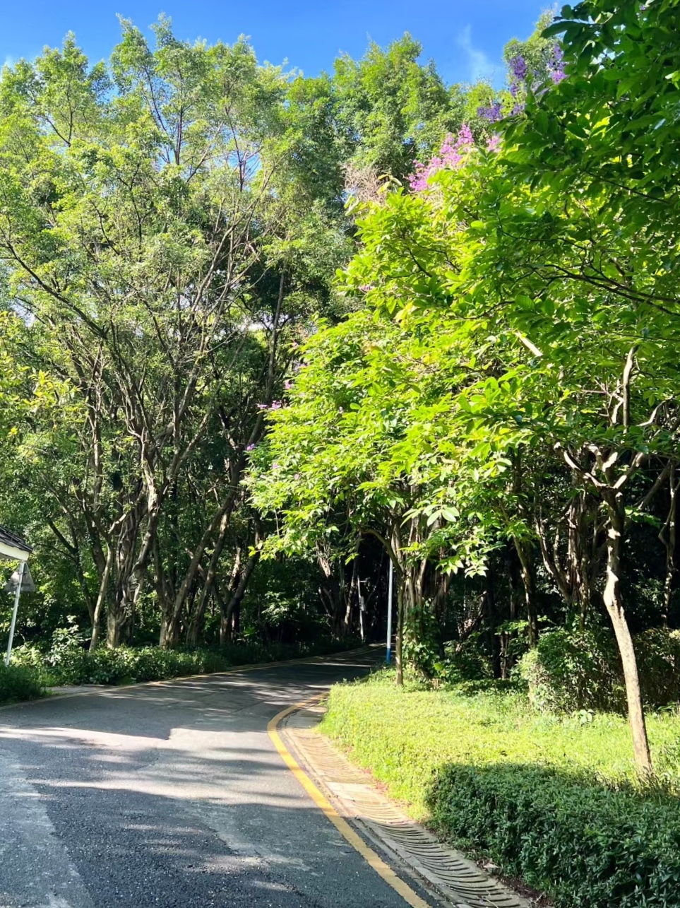 你们在床外都怎么玩?[36P]