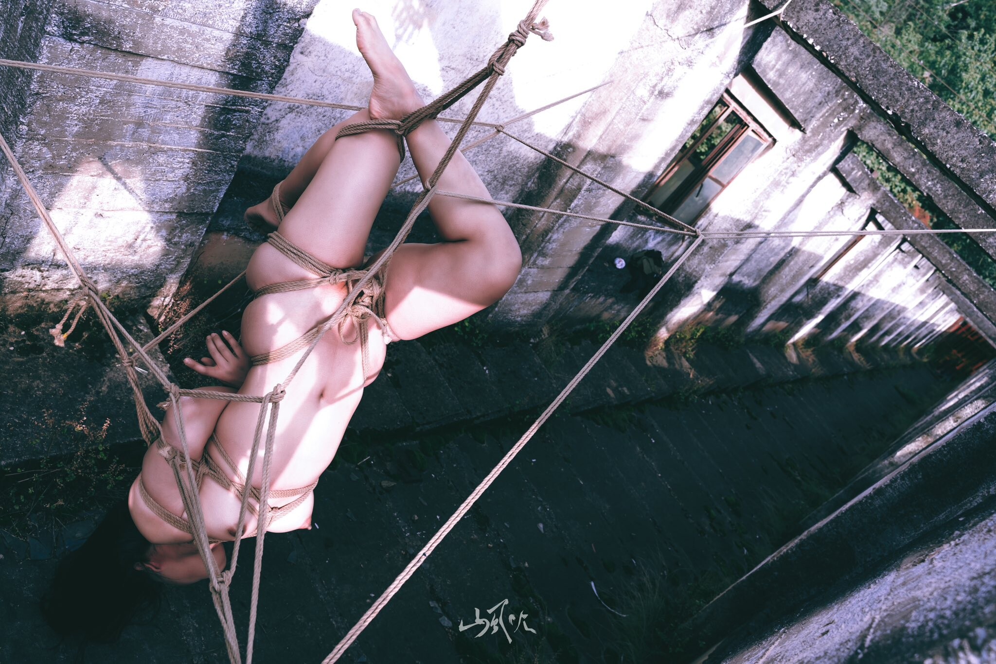 关于NTR，你想了解的都在这里