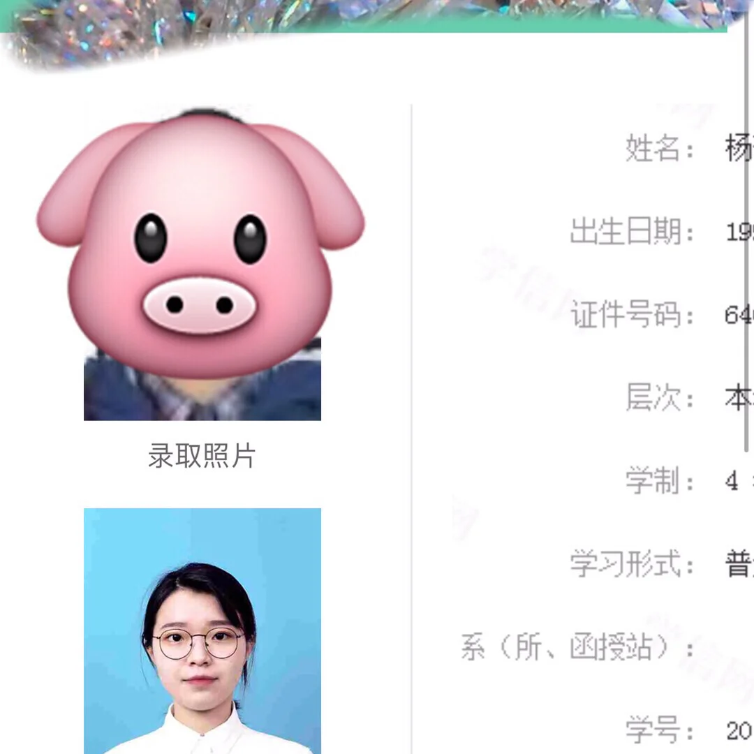 毕业季被抛弃的母狗们[41P]