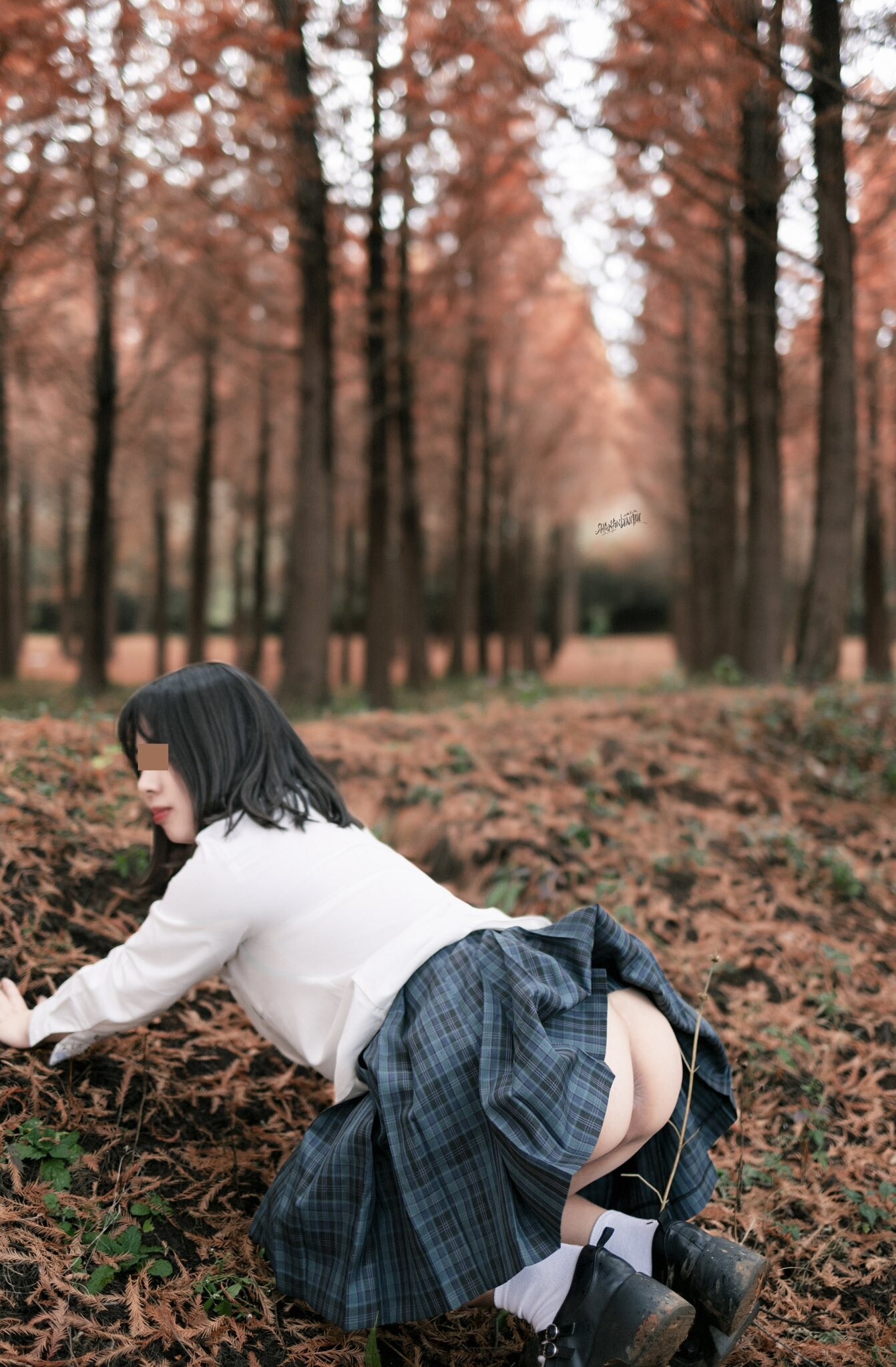 关于NTR，你想了解的都在这里