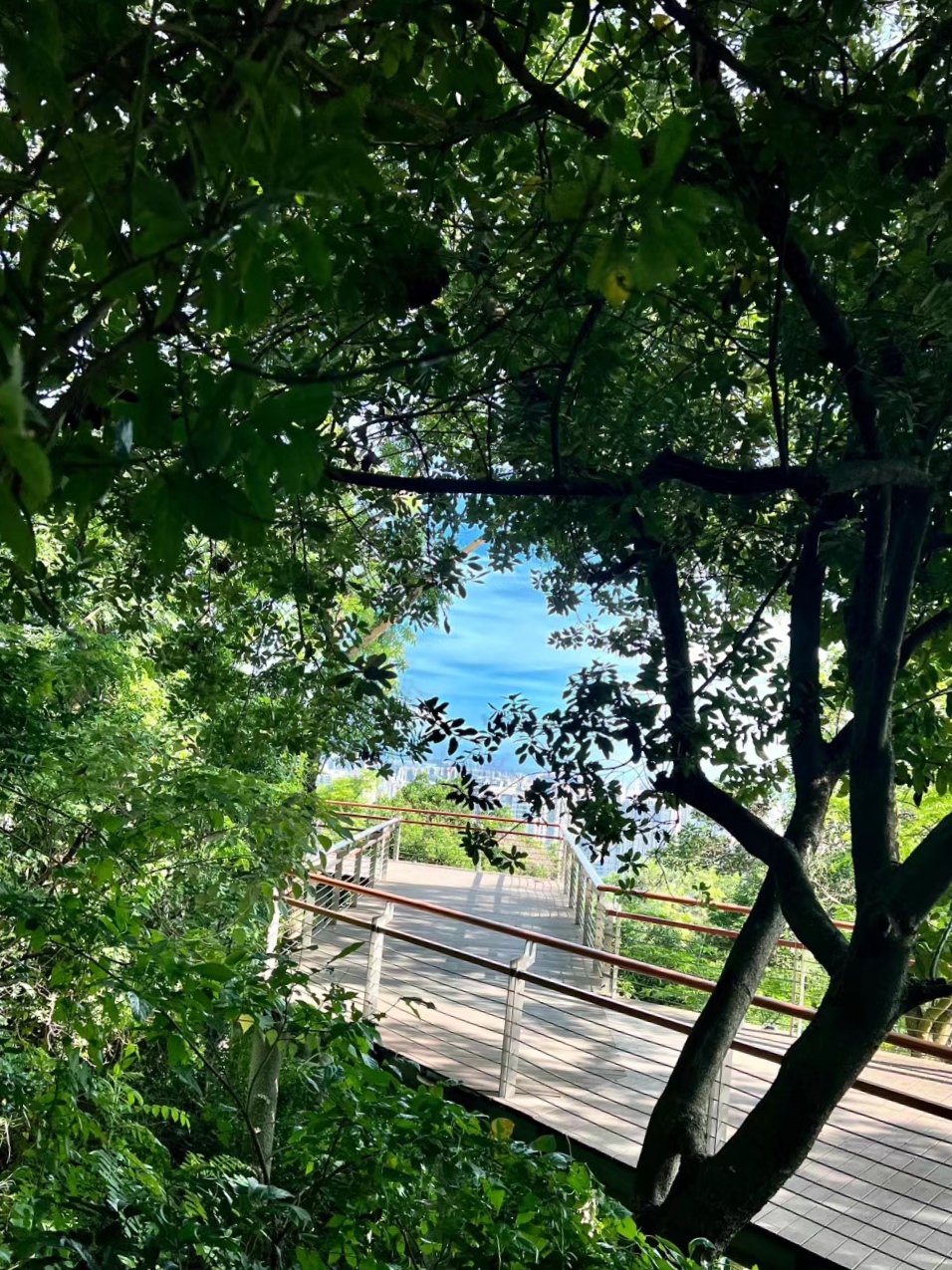 你们在床外都怎么玩?[36P]