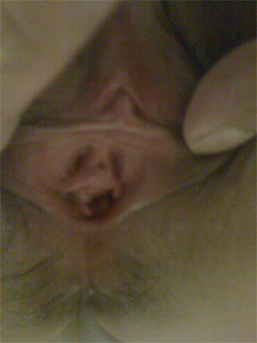 济南的鸡圈经济下滑明显,50都可以干一炮了!分享一个最近干的人工白虎