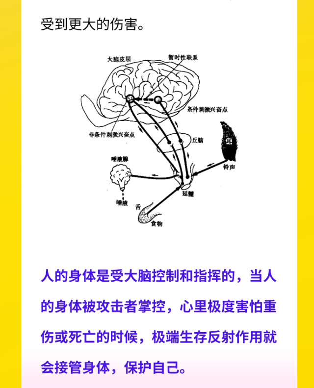 为什么被性侵时，当进入后女人就不反抗了？真相是...