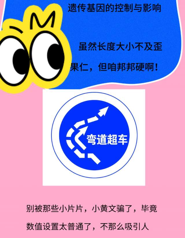 女生最满意的丁丁尺寸大公开,没想到吧?