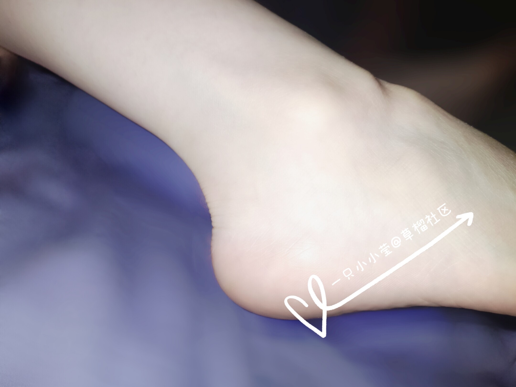 渴望被关注的小莹莹