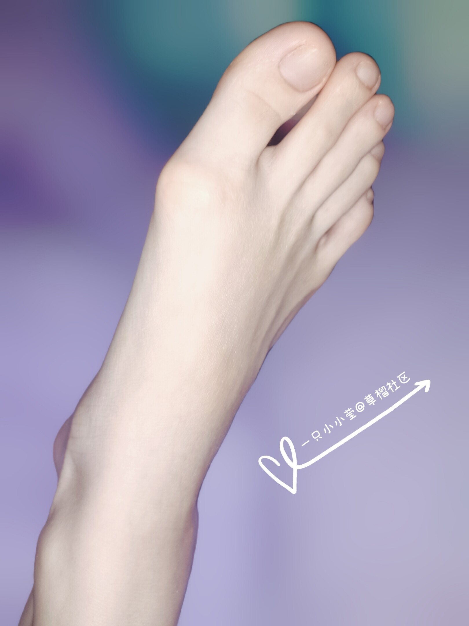 渴望被关注的小莹莹