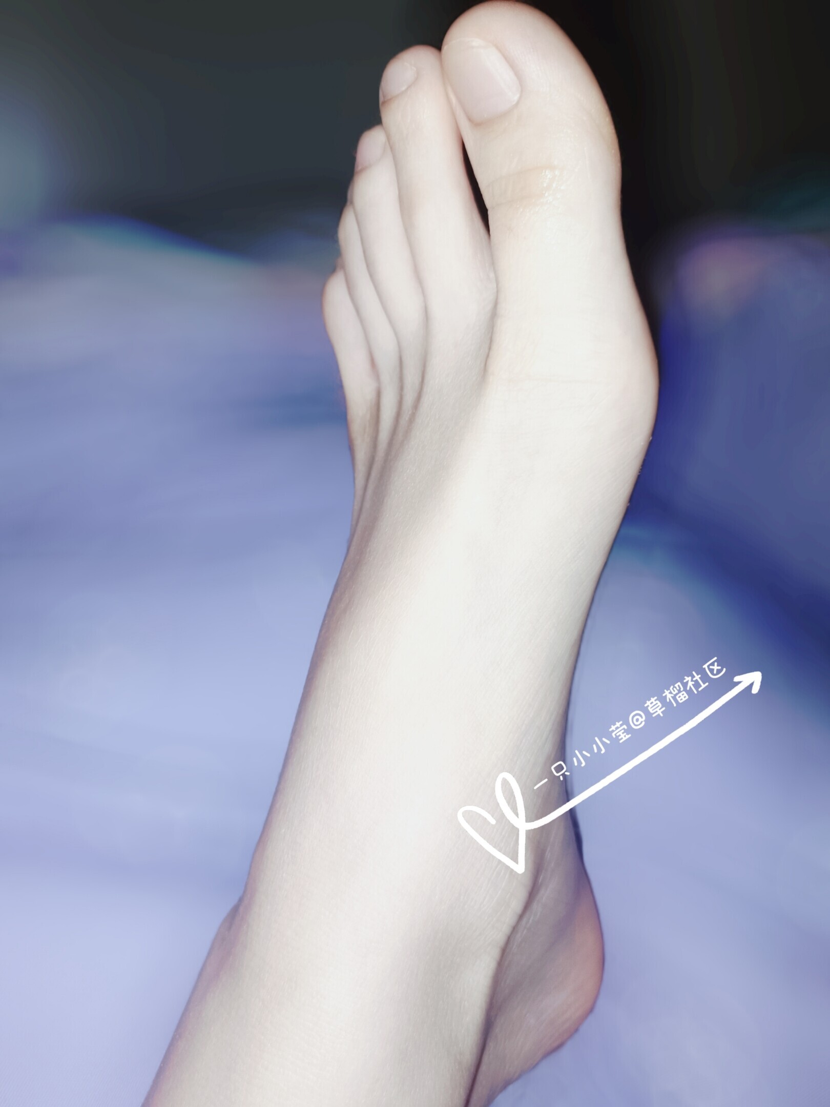 渴望被关注的小莹莹