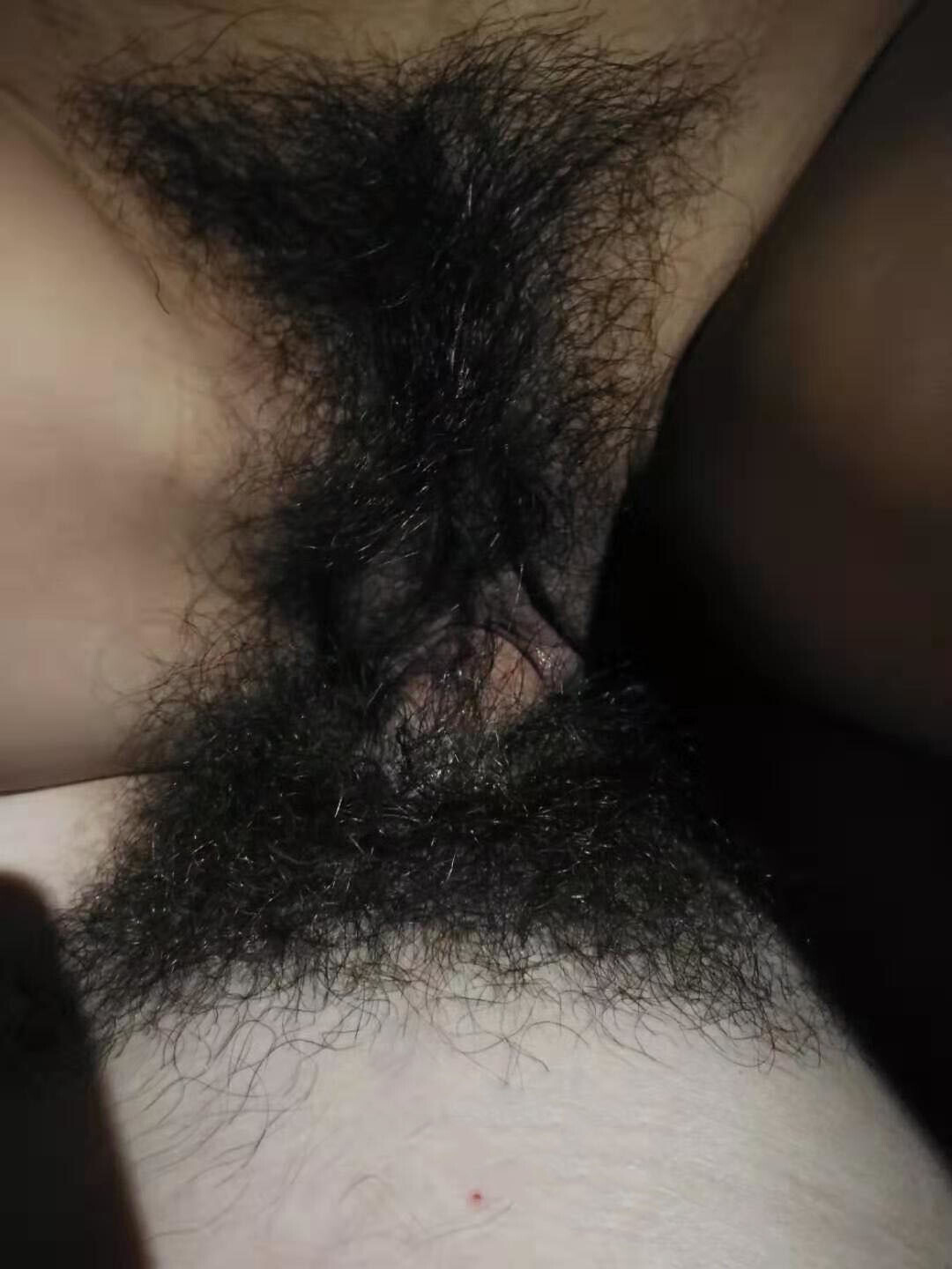 令人怀念的前女友