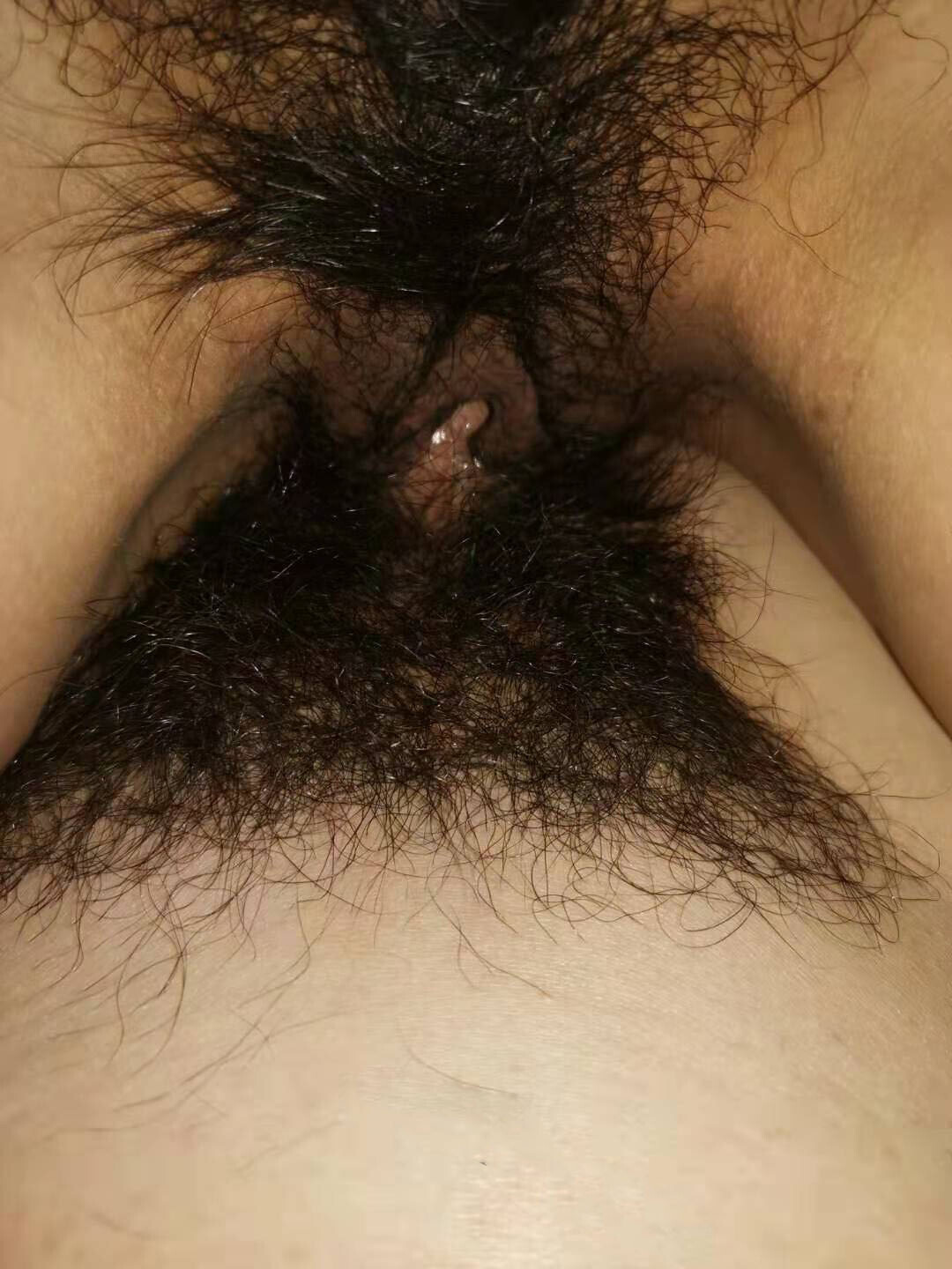 令人怀念的前女友