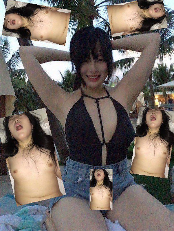 主人要我做任务