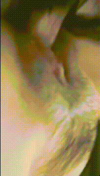 黑丝女友 啊啊坐死你夹死你 好多淫水呀 射在骚逼里 上位骑乘全自动 无套内射 白浆四溢 骚话不停