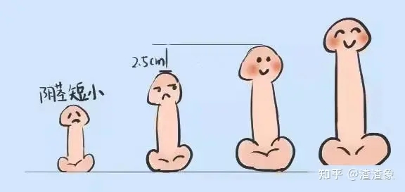 到底是粗的好还是，长的好，今天听到了第三种声音。