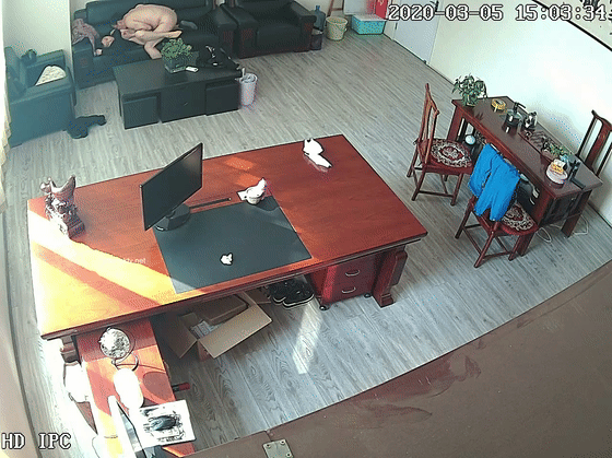 黑客破解摄像头偷拍河北某摄影店女老板 年纪30左右 在公司办公室与2名男子长达两年偷情记录