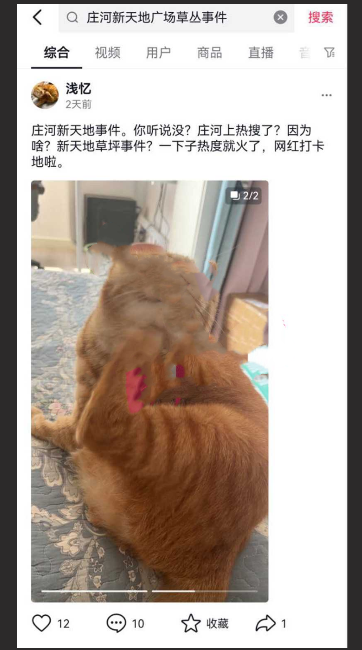 辽宁庄河新天地广场草坪事件 情侣草丛做爱被全方位偷拍 “挡脸干嘛 B 都露了”