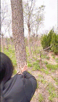 树林里忍不住了 在公园当众啪啪啪 超级羞耻 真是梦想场景 撸点满满 看到这一幕 你能忍住不来干翻她吗