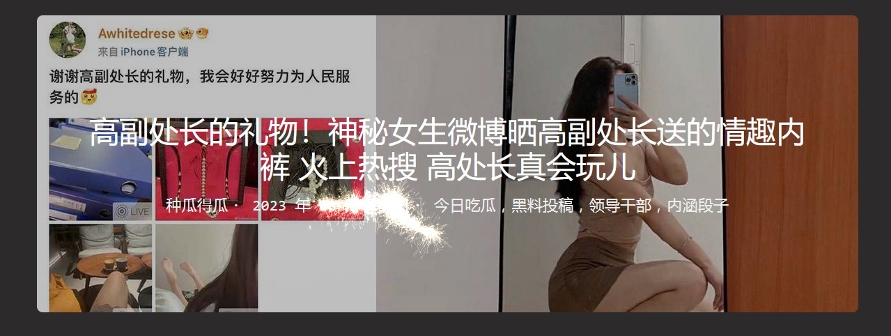 高副处长的礼物 神秘女生微博晒高副处长送的情趣内裤 火上热搜 高处长真会玩儿