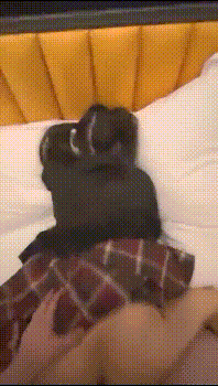 00后青春活力花季美少女 表面是大家文静乖巧小学妹 私下是爸爸的小淫娃 又乖又反差的女孩子谁不爱