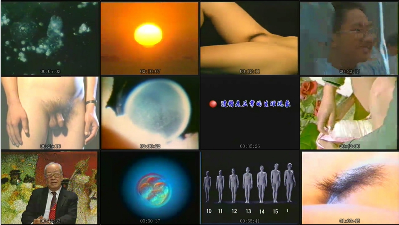 稀有资源科普性教育卫生部研究内部资料真人示范 男女生殖健康科普 国语中字