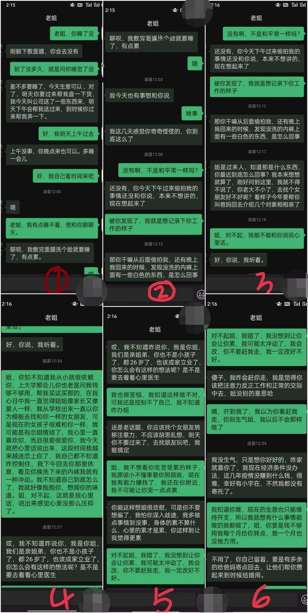 姐弟乱L 勾引翘臀良家姐姐 骚反差婊 附泄密照微信记录 聊天记录很精彩！