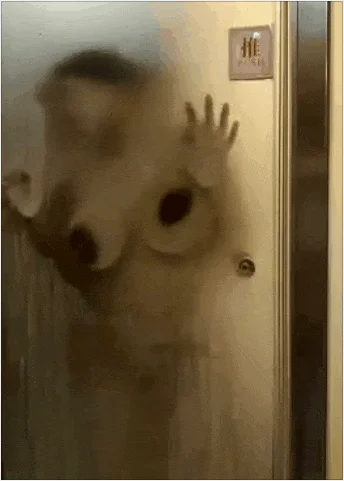 【极品稀缺❤️孕妇也疯狂】❤️性孕之美❤️全系列孕妇啪啪、自慰、喷奶自拍甄选 反正怀孕随便内射