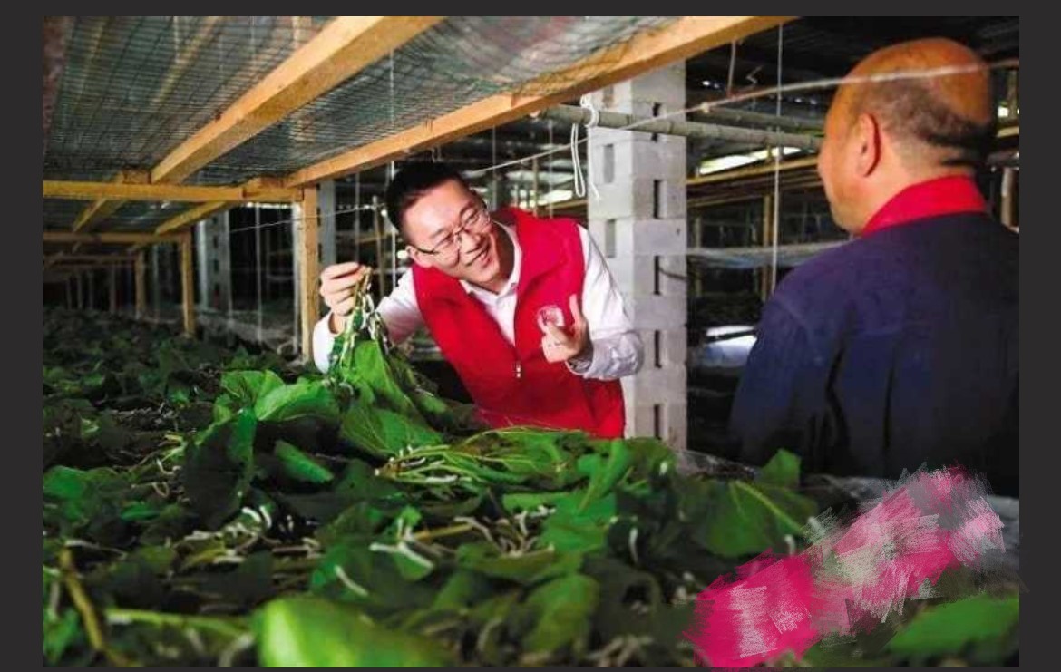 重庆市黔江司法局李铁事件～出轨经贸学院女大学生邹淑琴 老婆怒爆聊天记录和视频