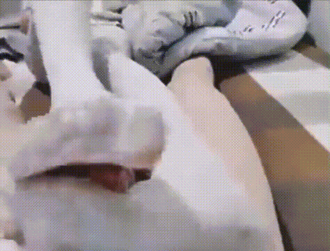 哥哥白丝喜欢吗  宝宝可爱娇嫩的小脚丫穿上丝袜给哥哥足交 让哥哥感受一下足交带来的快感