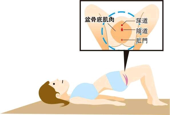 男女双修的 PC 肌训练