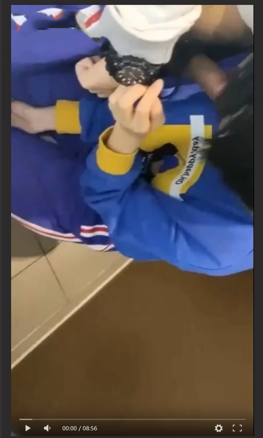 河南安阳师范学院 林丹丹 二十年的吃鸡功夫 你挡得住吗