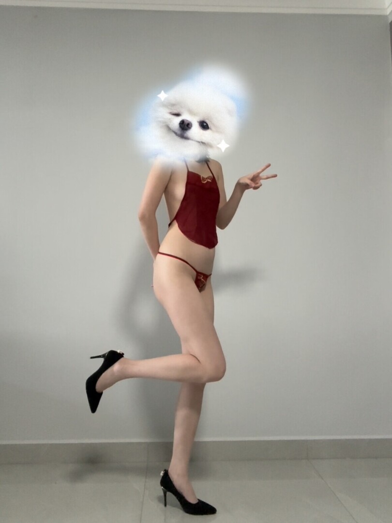 小情人红色情趣内衣诱惑，小情人的腿减一分太瘦，增一分太肥，让我爱不释手，这样的美腿你给打几分呢