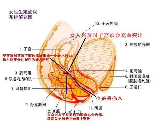 教你如何把她骂湿