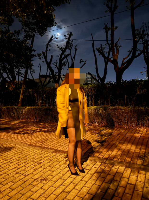 小母狗的第一次户外