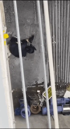 【门事件】安徽马鞍山某大学❤️男女大白天就在校外过道打野战视频！