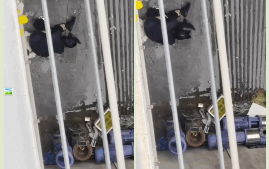 【门事件】安徽马鞍山某大学❤️男女大白天就在校外过道打野战视频！